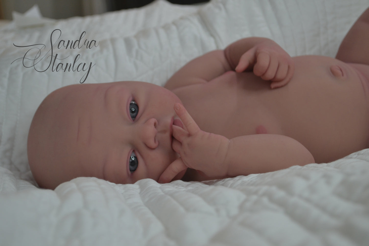 Full Body Silicone Lillyanna - BLANK KIT ($500 deposit or full $2100+)
