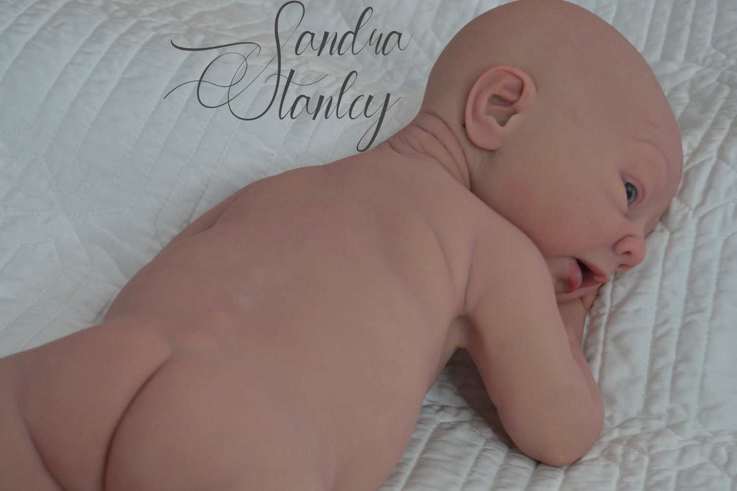 Full Body Silicone Lillyanna - BLANK KIT ($500 deposit or full $2100+)