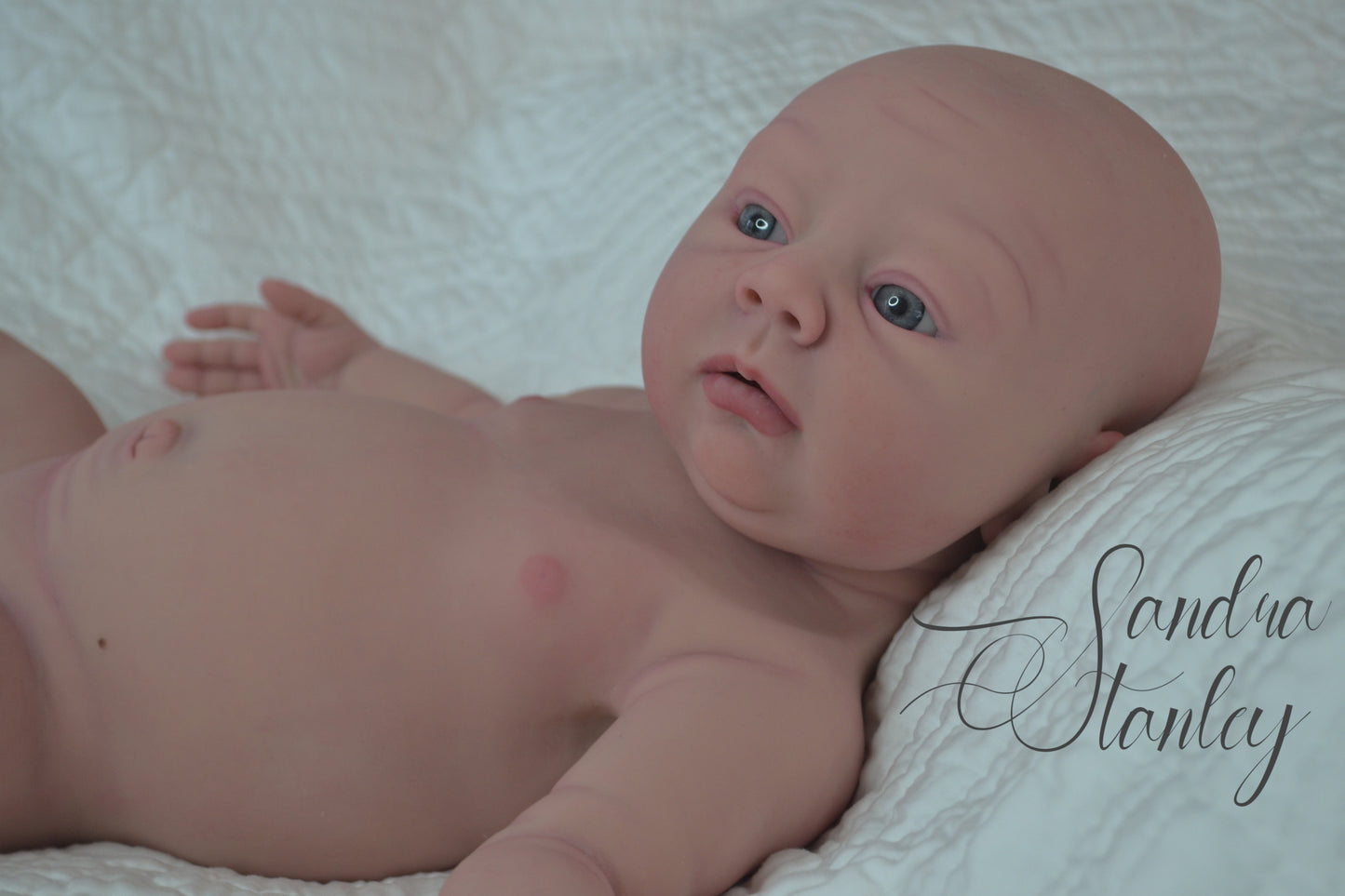Full Body Silicone Lillyanna - BLANK KIT ($500 deposit or full $2100+)
