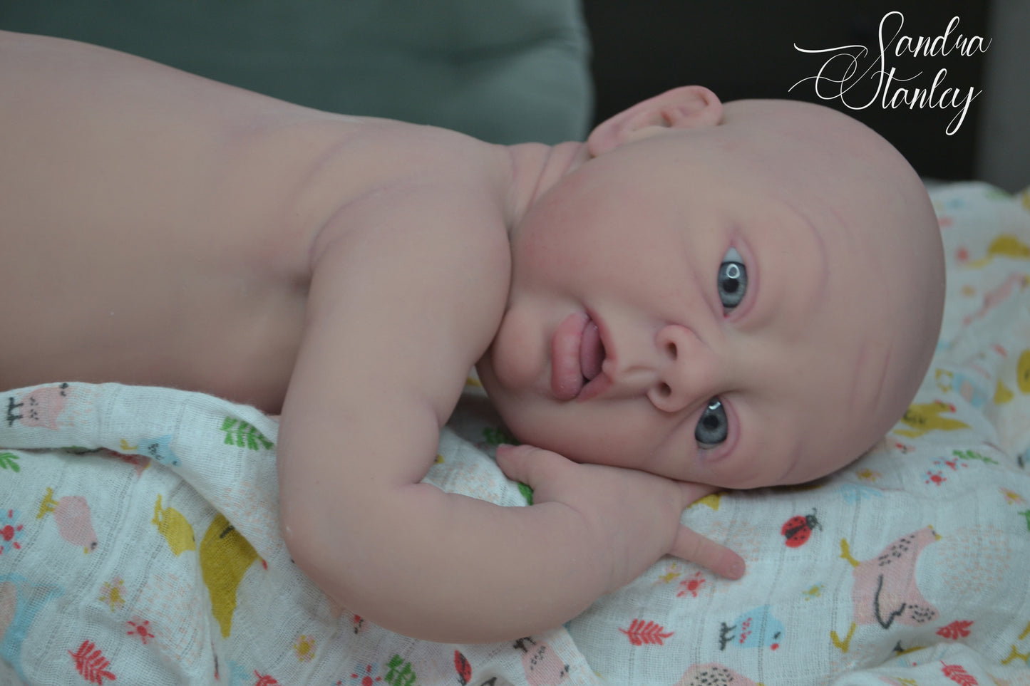 Full Body Silicone Lillyanna - BLANK KIT ($500 deposit or full $2100+)