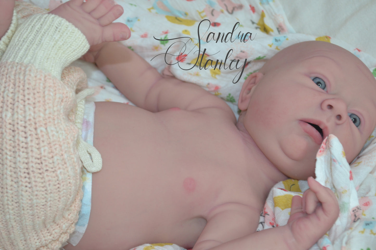 Full Body Silicone Lillyanna - BLANK KIT ($500 deposit or full $2100+)