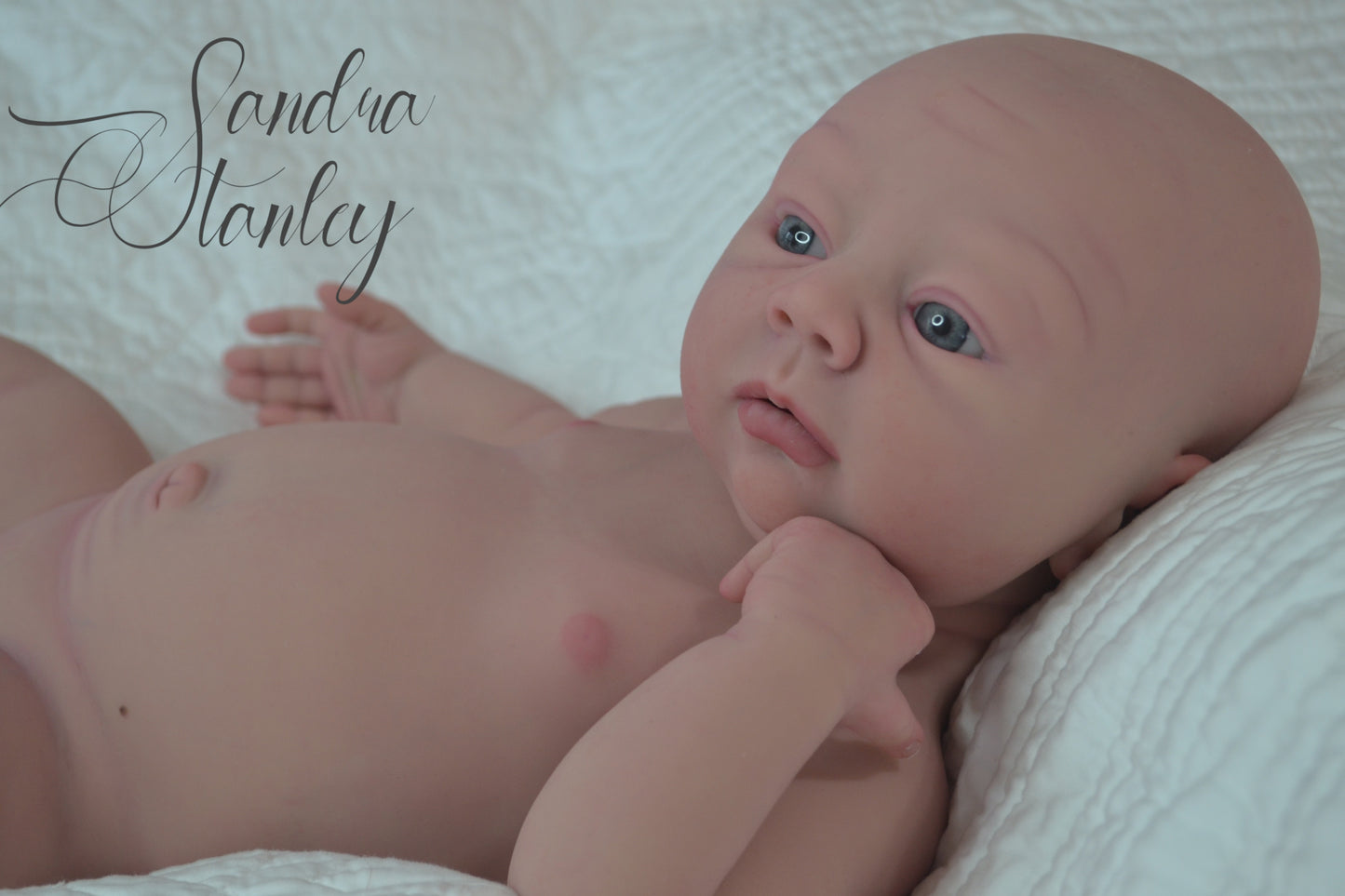 Full Body Silicone Lillyanna - BLANK KIT ($500 deposit or full $2100+)