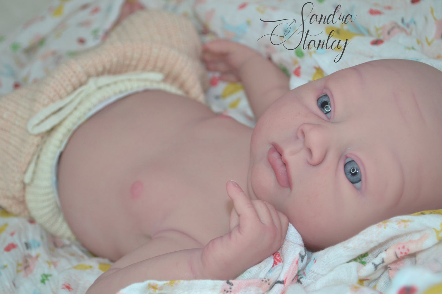 Full Body Silicone Lillyanna - BLANK KIT ($500 deposit or full $2100+)