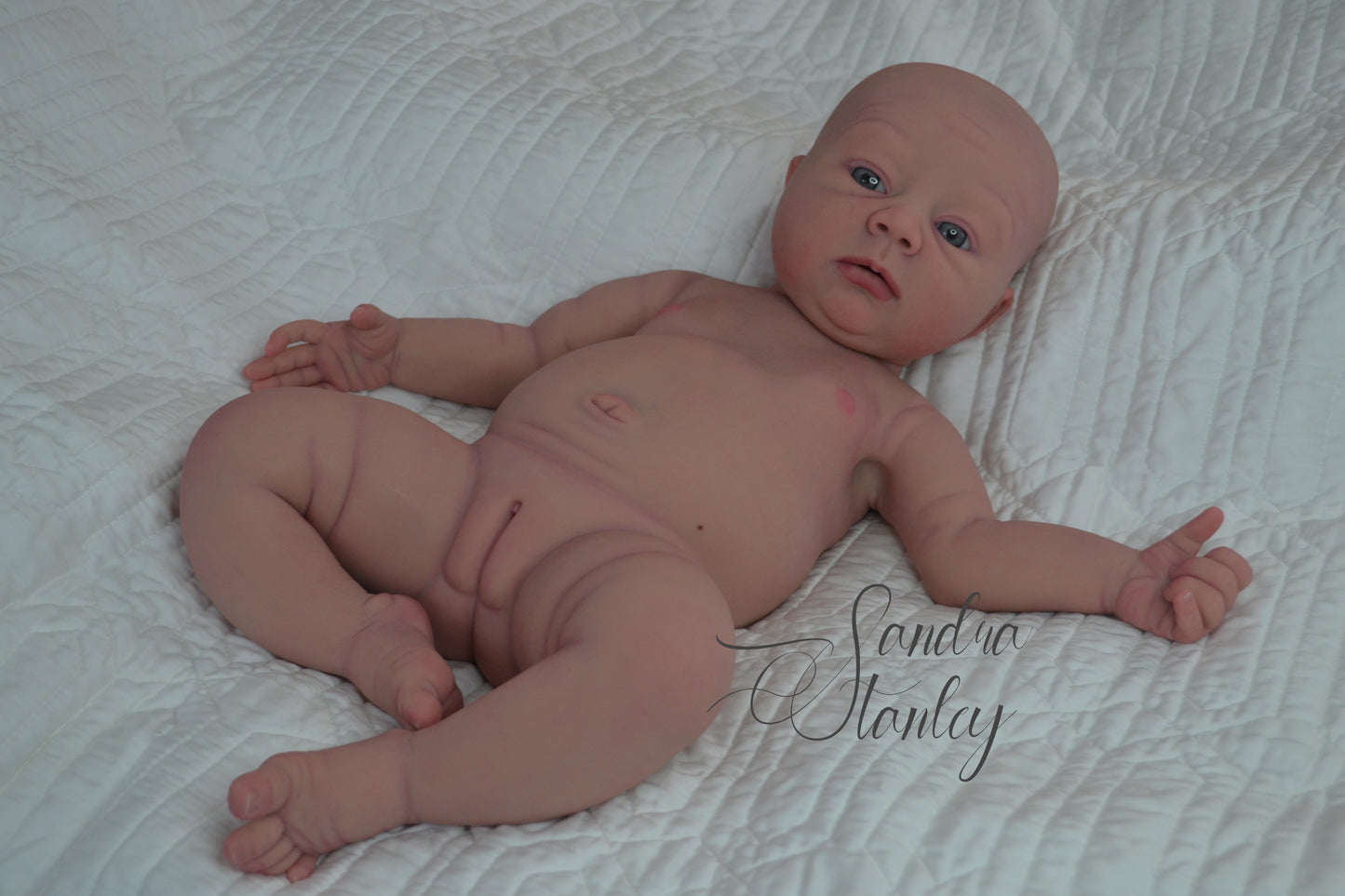 Full Body Silicone Lillyanna - BLANK KIT ($500 deposit or full $1700+) (SOLD OUT!)