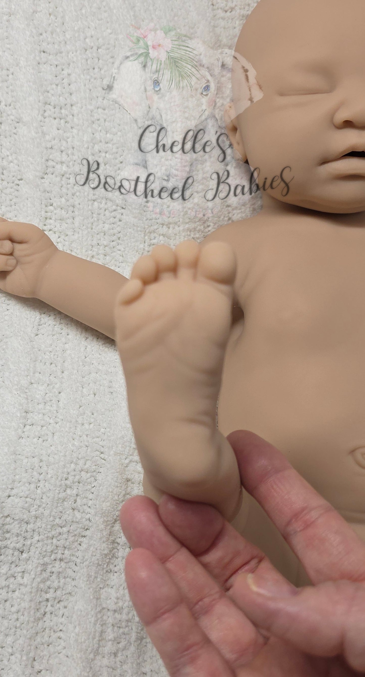 Full Bodied Chrysalis Silicone (BLANK KIT)