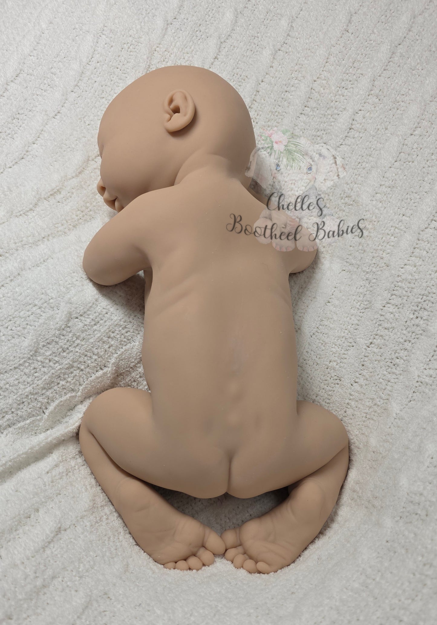 Full Bodied Chrysalis Silicone (BLANK KIT)