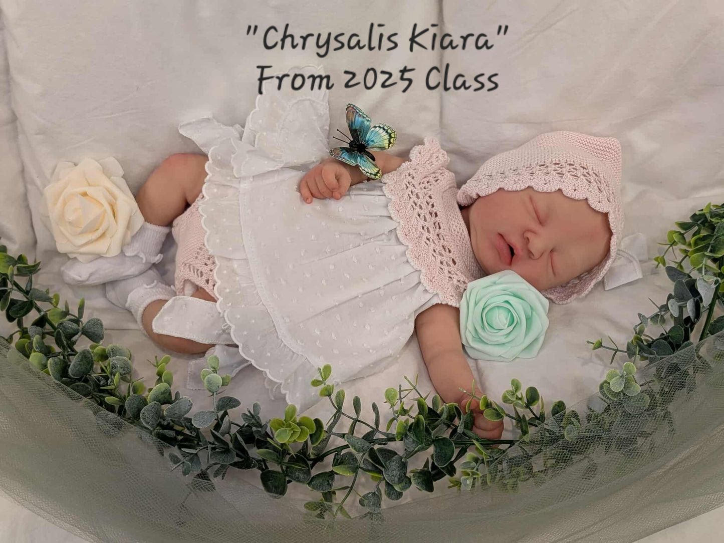 $350 DEPOSIT ONLY!!~ 2026-Beginners Silicone Painting Class ~ Kansas Doll Show