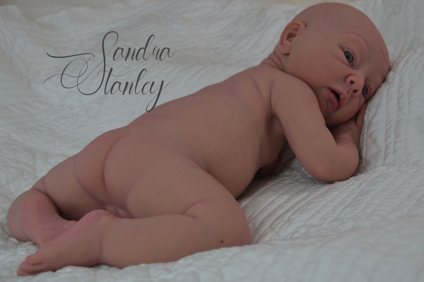 (Copy) Full Body Silicone Lincoln - BLANK KIT ($500 deposit or full $1700+)