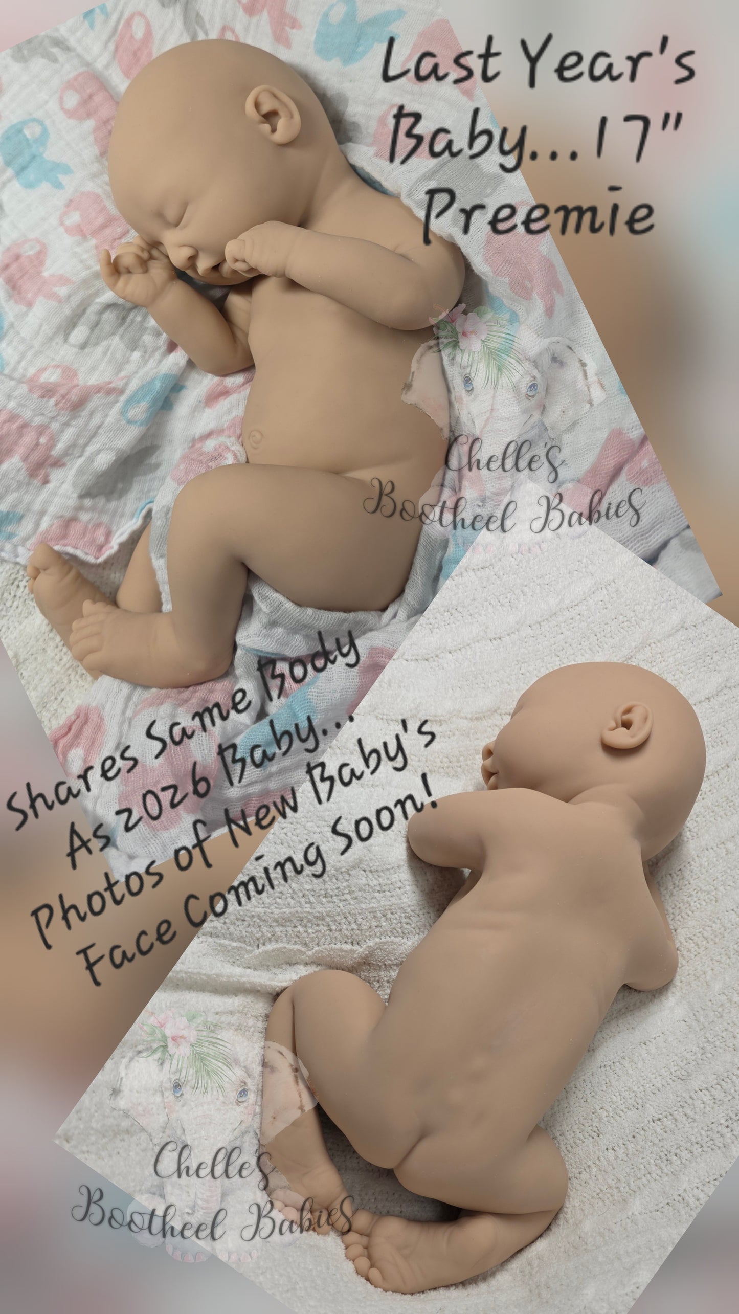 $350 DEPOSIT ONLY!!~ 2026-Beginners Silicone Painting Class ~ Kansas Doll Show