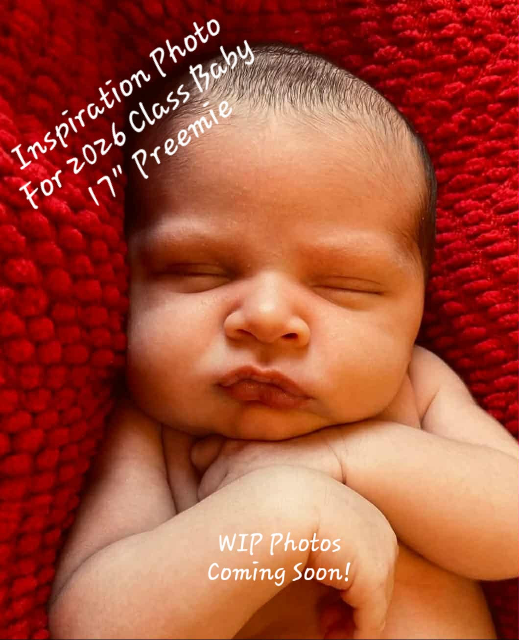 $350 DEPOSIT ONLY!!~ 2026-Beginners Silicone Painting Class ~ Kansas Doll Show