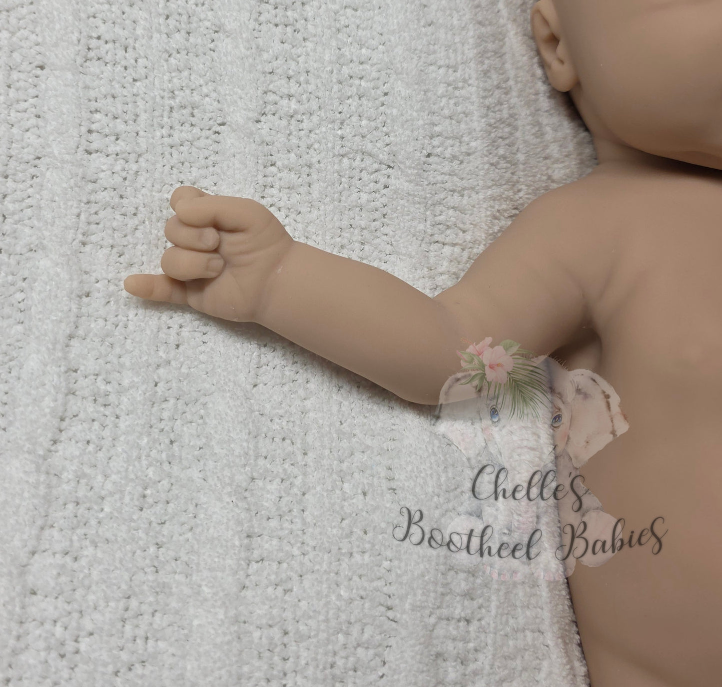 Full Bodied Chrysalis Silicone (BLANK KIT)