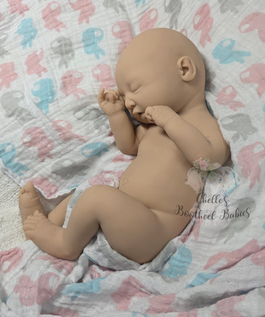 Full Bodied Chrysalis Silicone (BLANK KIT)