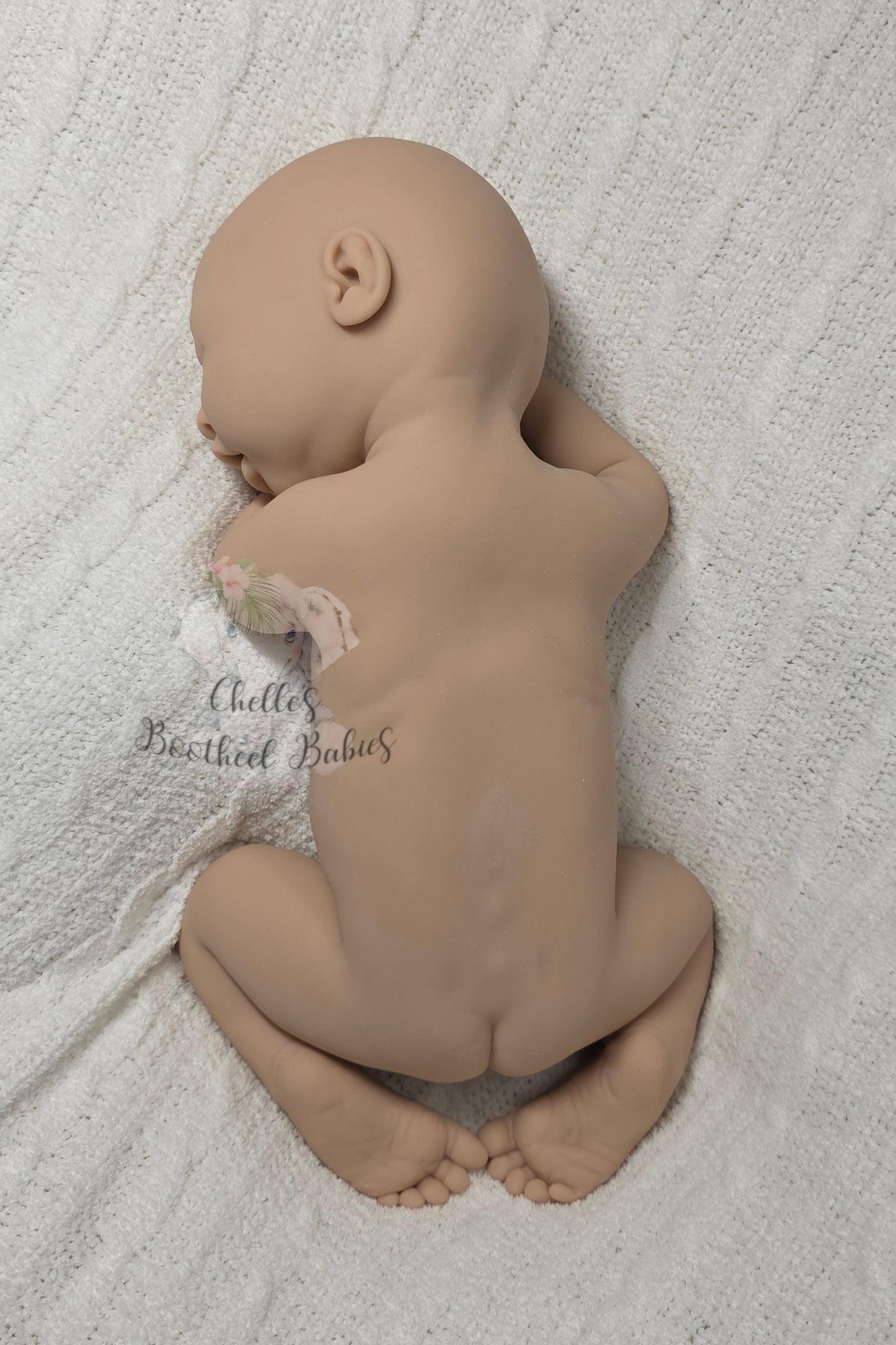 Full Bodied Chrysalis Silicone (BLANK KIT)